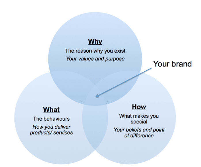 brand venn diagram